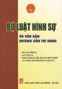 luat hinh su 212x300 2