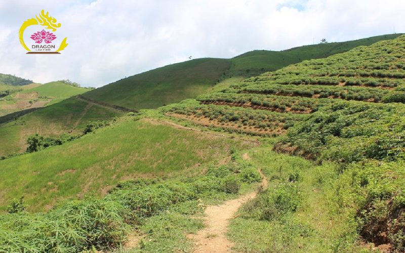 văn phòng luật sư giải quyết tranh chấp đất đai Hà Nội 