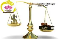 Mẫu đơn đề nghị thành lập công ty luật trách nhiệm hữu hạn dưới mọi hình thức liên doanh tại Việt Nam TP-LS-14