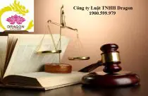 Mẫu đơn đề nghị cấp lại / thay đổi nội dung giấy phép thành lập của chi nhánh, công ty luật nước ngoài TP-LS-17 Mẫu đơn đề nghị cấp lại / thay đổi nội dung giấy phép thành lập của chi nhánh, công ty luật nước ngoài TP-LS-17