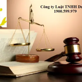 Phom mẫu báo cáo về tổ chức hoạt động hành nghề luật sư trong năm cho sở tư pháp và đoàn luật sư thành phố