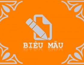 form mẫu báo cáo hành nghề luật sư tập sự
