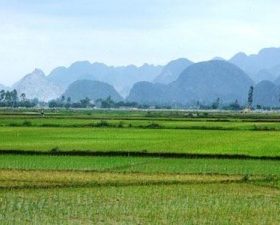 Quyền sử dụng hạn chế bất động sản liền kề