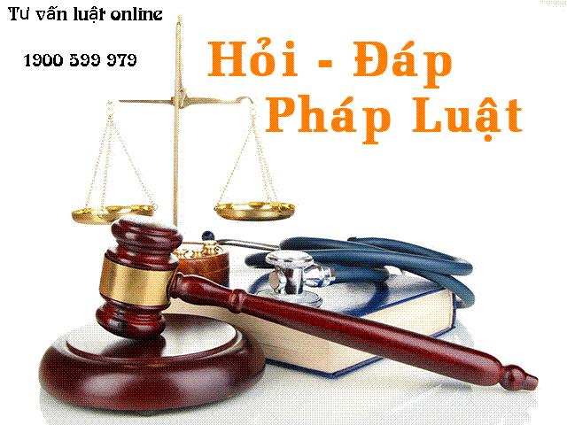 hoi dap phap luat