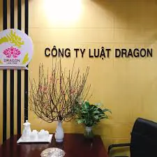 Luật sư tư vấn pháp luật Việt Nam như thế nào?
