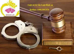 Đội ngũ luật sư tư vấn hình sự giỏi kinh nghiệm hàng đầu Việt Nam