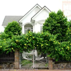 Văn phòng luật sư tư vấn pháp luật về thừa kế đất nhà ở không di chúc