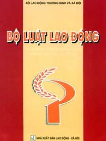 Văn bản pháp luật về Luật Lao Động