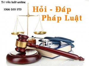 tu van phap luat lao dong 2