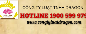 Luật sư chuyên tư vấn luật doanh nghiệp trực tuyến miễn phí