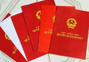 Văn phòng luật sư Dragon tư vấn về thủ tục sang tên sổ đỏ