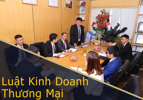 dich vu kinh doanh va thuong mai