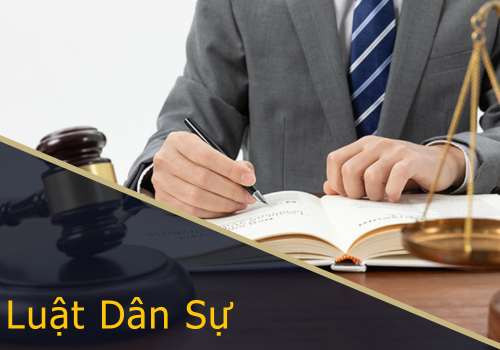 dich vu luat dan su
