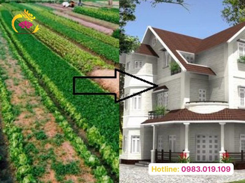 luật sư tư vấn chuyển mục đích sử dụng đất 