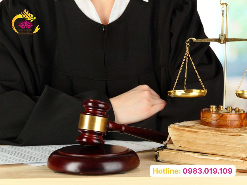 luật sư tư vấn hình sự 