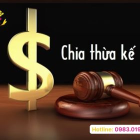 Dịch vụ luật sư tư vấn thừa kế chuyên sâu cùng đội ngũ luật sư giàu kinh nghiệm