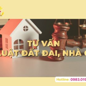Dịch vụ luật sư tư vấn đất đai uy tín cho cá nhân và doanh nghiệp