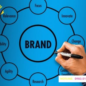 Dịch vụ Đăng ký Bảo hộ Thương Hiệu uy tín, hoàn tất hồ sơ chỉ sau 3 ngày