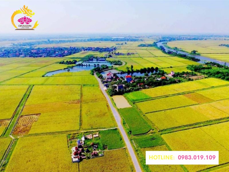 Quy định về việc sử dụng đất nông nghiệp theo Luật Đất đai 2024 Cá nhân trực tiếp sử dụng đất nông nghiệp là ai?