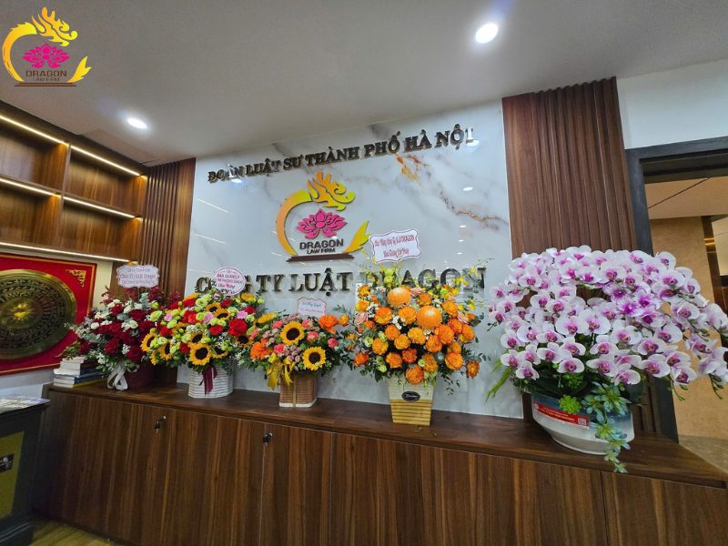 Gợi ý cho doanh nghiệp và cá nhân văn phòng luật sư uy tín Hà Nội Công ty Luật TNHH Dragon - Văn phòng luật sư uy tín Hà Nội