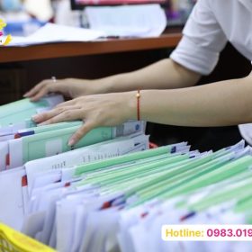 Tư vấn luật bảo hiểm xã hội uy tín tại công ty luật Dragon