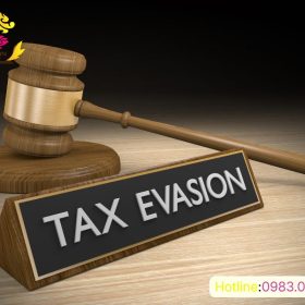 Dịch vụ luật sư bào chữa tội trốn thuế uy tín, chuyên nghiệp