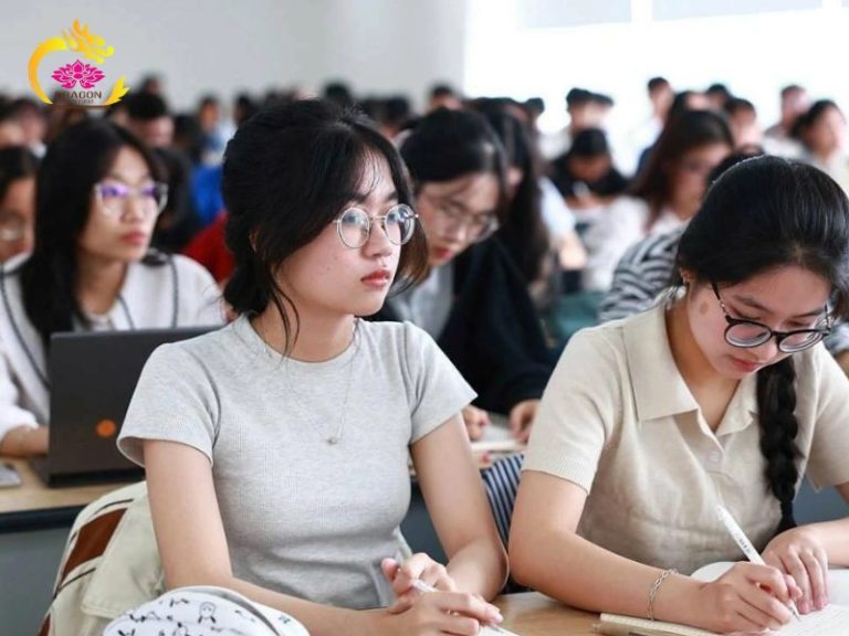 dao tao nghe luat su khoa 28 nam 2026