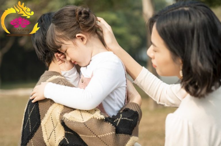 van phong luat su gioi 1