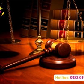 Các dịch vụ của văn phòng luật sư gồm những gì? Tư vấn chi tiết