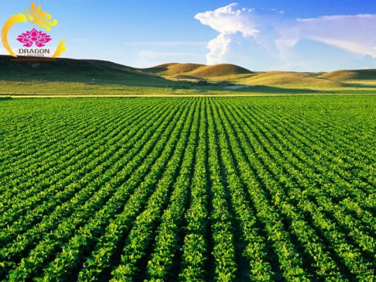 Cách xác định hạn mức giao đất ở