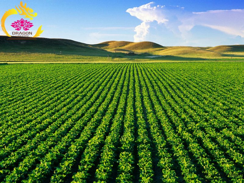 Cách xác định hạn mức giao đất ở để tính tiền chuyển đất vườn sang đất ở theo Nghị định 50 Cách xác định hạn mức giao đất ở