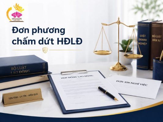 don phuong cham dut hop dong lao dong